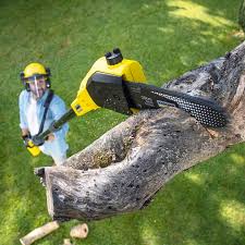 Best Lawn Mowing  in Shiremanstown, PA